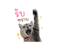 839833239