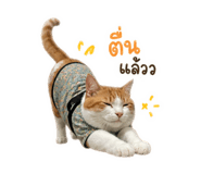 839833242