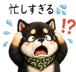 839834977