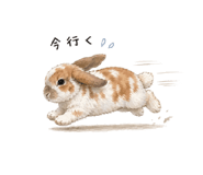 839835465