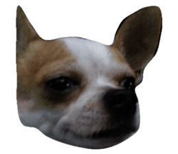 83983691