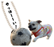 839836995