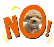 839838442