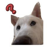 839838577