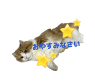 839839154
