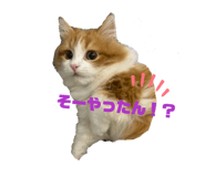 839839159