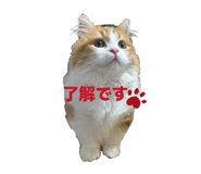 839839160