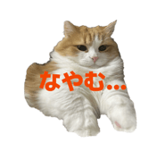 839839162