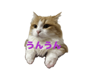839839167