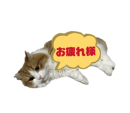 839839177