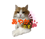 839839181