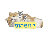 839839182