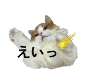 839839185