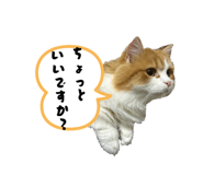 839839187
