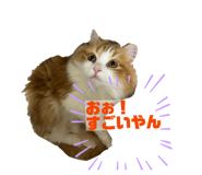 839839192