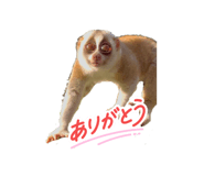 839839241