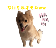 839839785