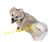 839839786