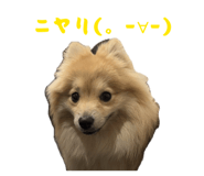 839839787