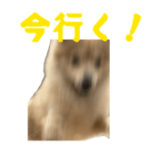 839839788