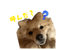 839839792