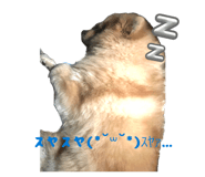 839839793