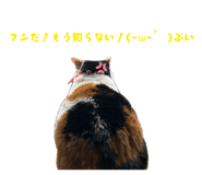 839839800