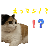 839839802