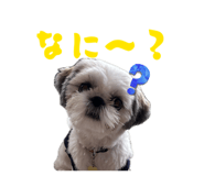 839839807