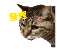 839839808