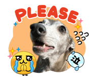 839839958