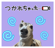 839839960