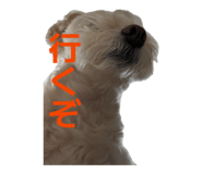 839840251