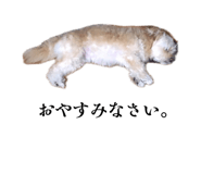 839840255