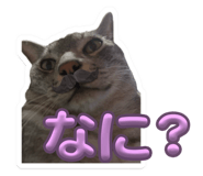 839840413