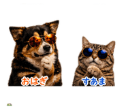 839840636