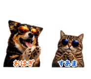 839840637
