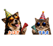 839840638