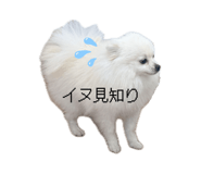 839840663