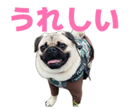 839840903
