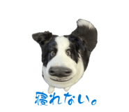 839841003