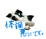 839841004