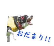 839841019