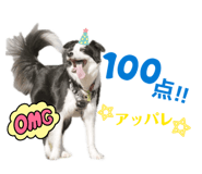 839841020