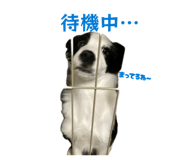 839841021