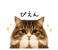 839841081