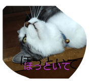 839841197