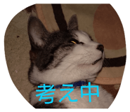 839841198
