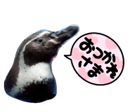 839841202