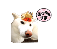 839841229